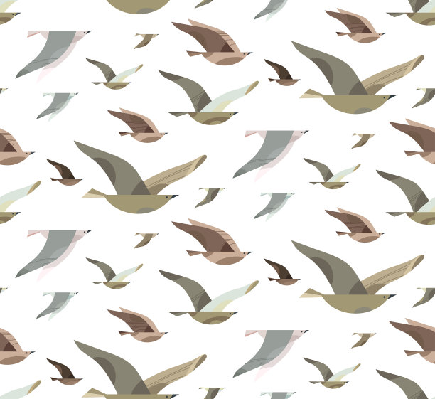 鸟类的背景图片下载