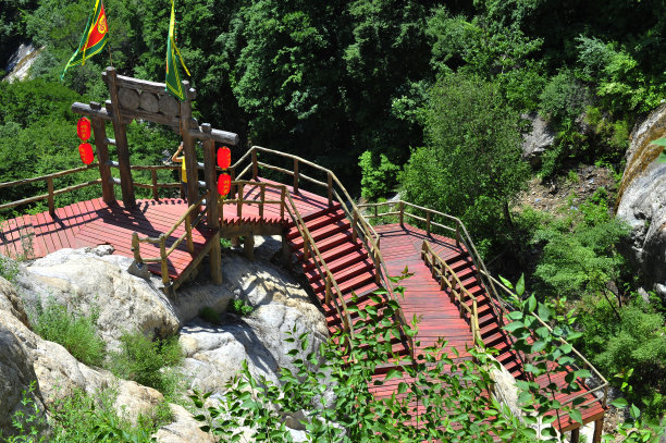 夏季山地森林景观图片下载