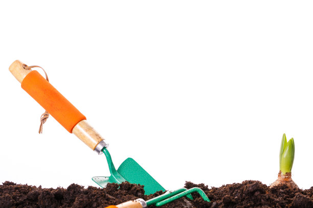 园艺工具和小植物在土壤上隔离白色。图片下载