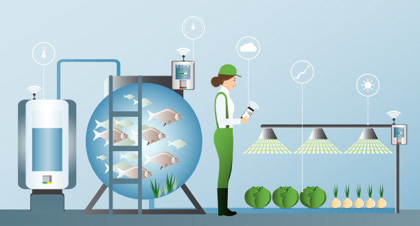 在地里种植植物。图片下载