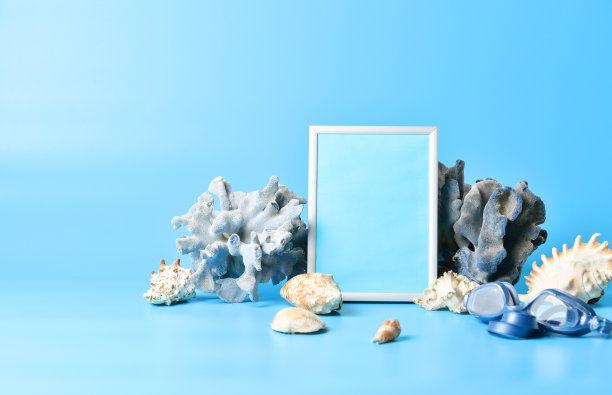 蓝色背景海洋符号和空白相框的构图图片下载