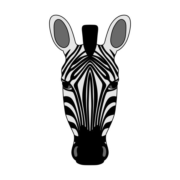 在白色背景上有条纹的斑马的孤立的头。彩色卡通肖像。图片下载