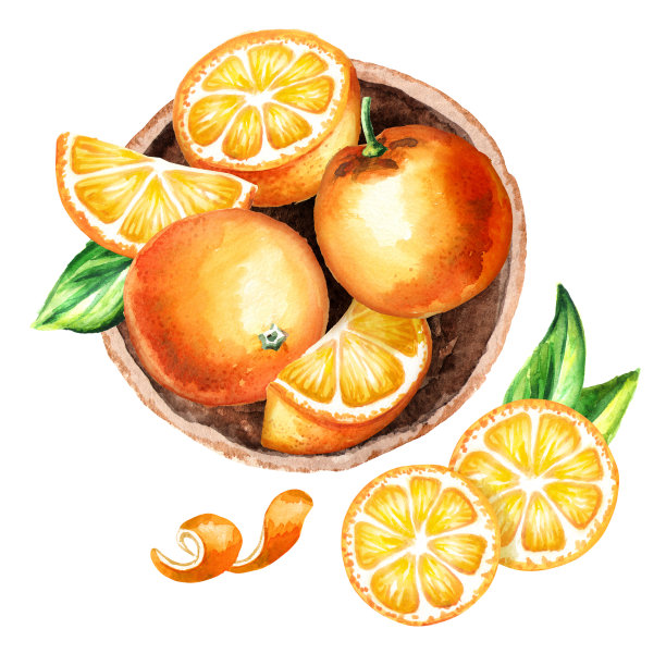 新鲜的橙水果在盘顶视图组成。水彩手绘插图素材图片