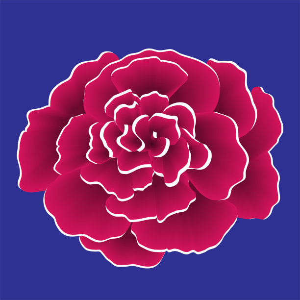 单朵红色荷花，白色镶边。图片下载