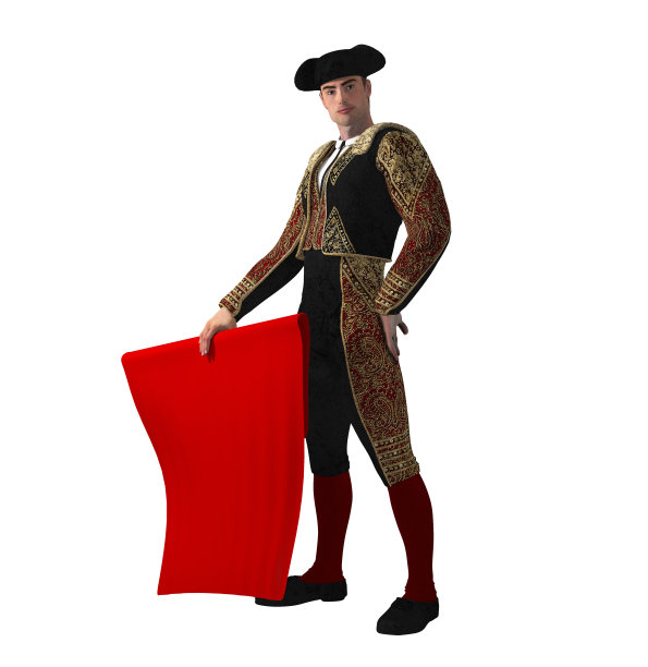 骄傲的男斗牛士在一个白色的背景图片下载