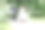 幸福的新娘和新郎在公园里散步图片下载