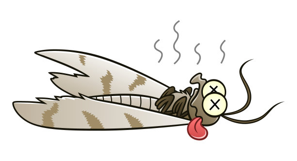 击败了蛾图片下载