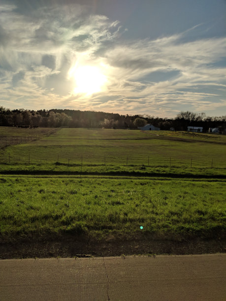 草地上的阳光图片下载