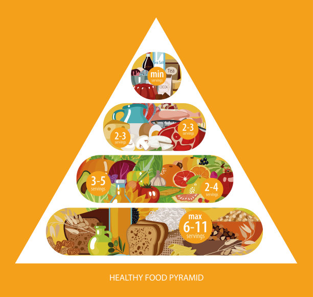 食物金字塔。图片下载