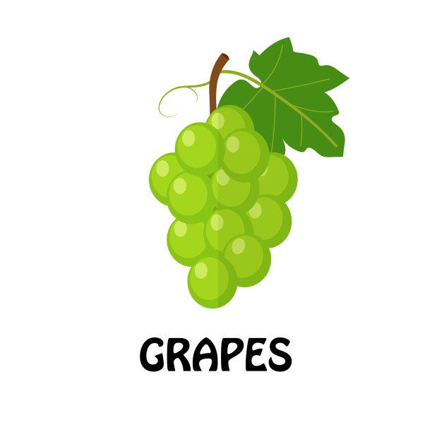 矢量插图扁平绿色葡萄孤立在白色背景，最小风格，原料新鲜的水果图片下载
