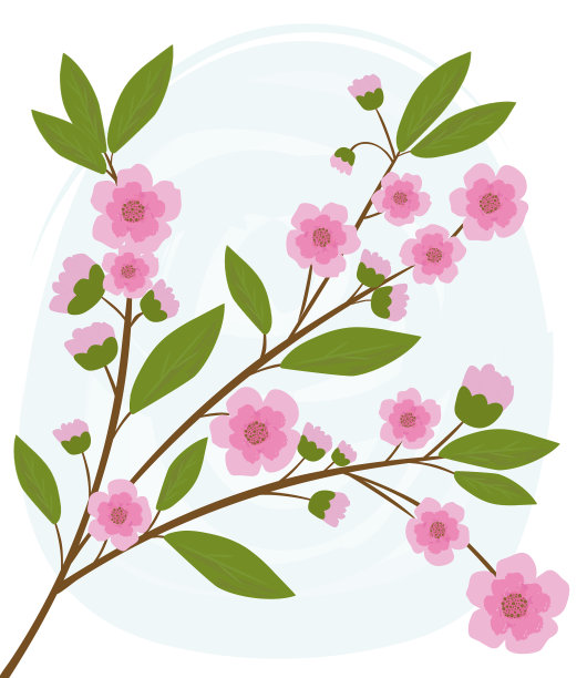 春天的花朵图片下载