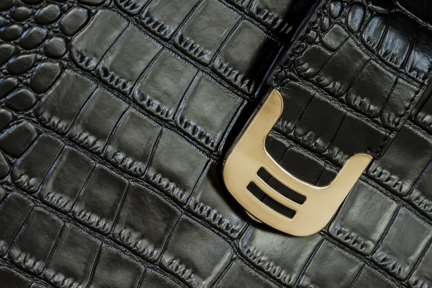 真皮黑色手袋纹理，蛇皮压花，金色扣，锁图片下载