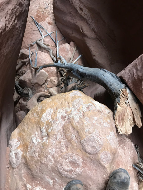 鹿皮谷槽峡谷图片下载