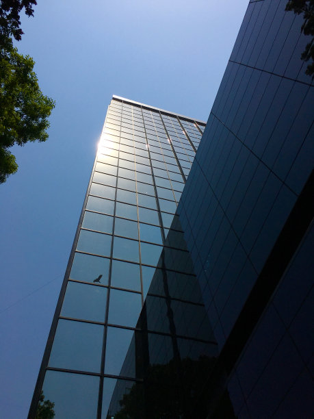 蓝天映衬下的公司大楼图片下载