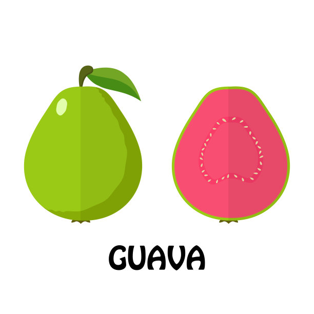 平面番石榴孤立在白色背景，简约风格，原料新鲜水果图片下载