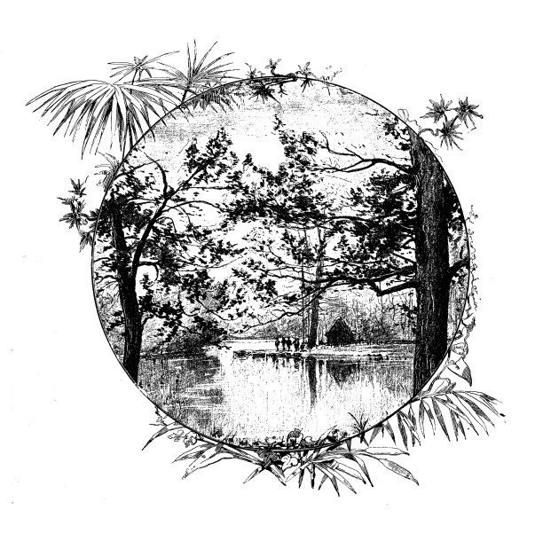 英格兰，苏格兰和爱尔兰的古董插图:圣詹姆斯公园图片下载