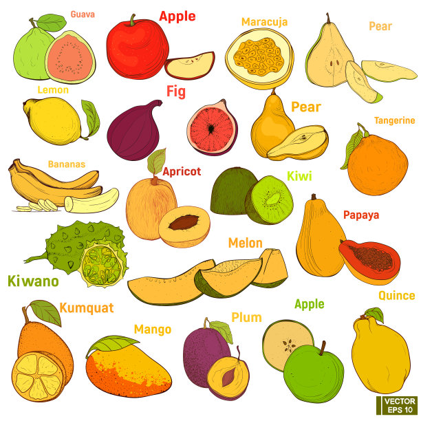 一大堆彩色水果素材图片