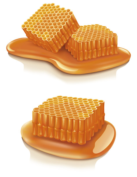 蜂巢孤立在白色背景-插图图片下载