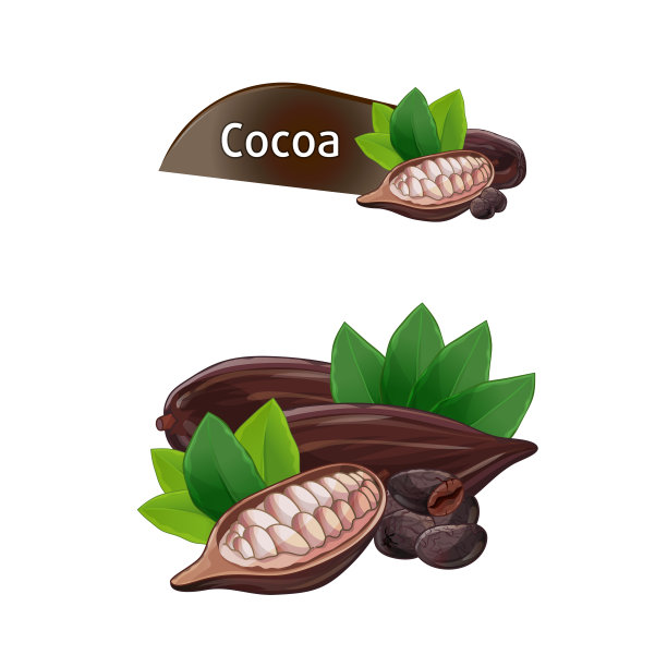 可可荚在果壳与叶设置图片下载