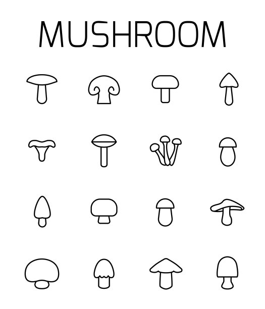 蘑菇相关矢量图标集。图片下载