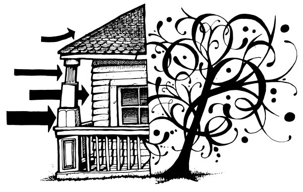 树的房子图片下载