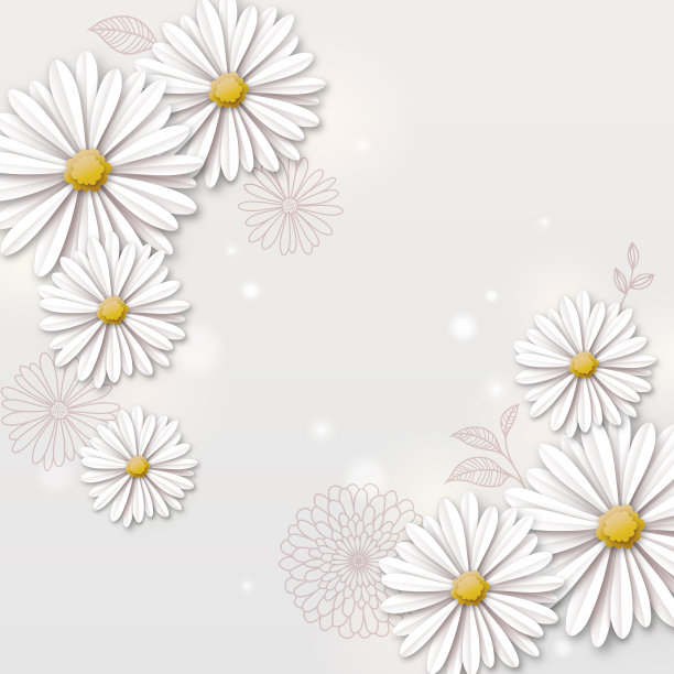 雏菊花的背景图片下载