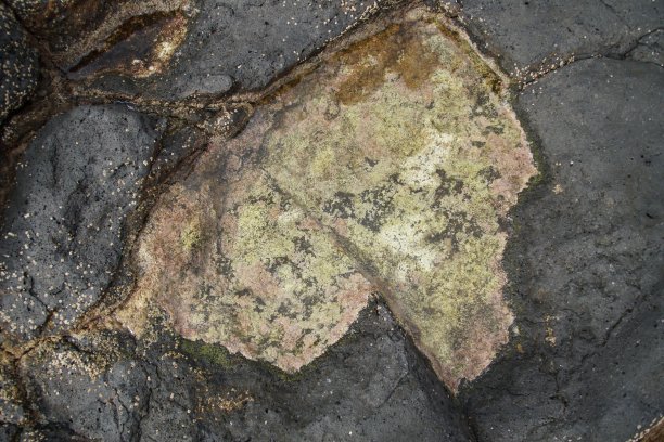 海水退潮后熔岩岩石上剩下的水图片下载