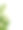 茉莉花图片素材ID：315647748