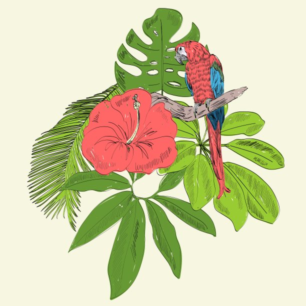 热带矢量图图片下载