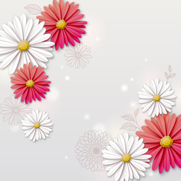 雏菊花的背景图片下载