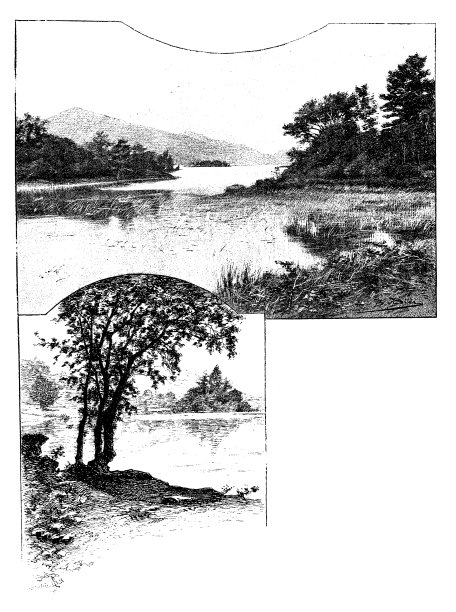 英格兰、苏格兰和爱尔兰的古玩插图:洛蒙德湖图片下载