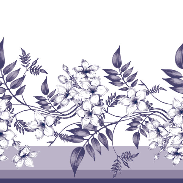 向量无缝花图案与茉莉花。素材图片