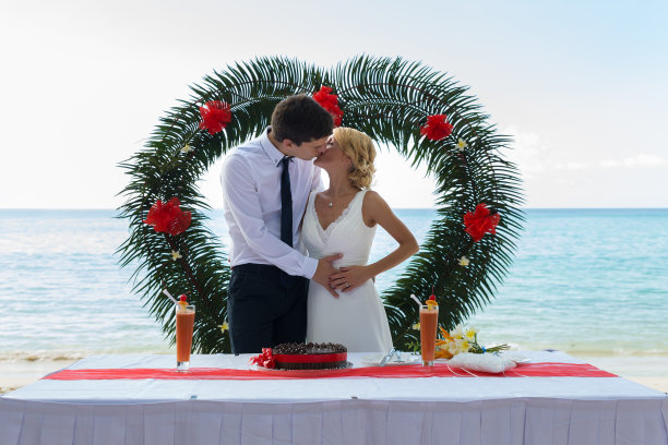 新娘和新郎在婚礼蛋糕仪式上亲吻图片下载