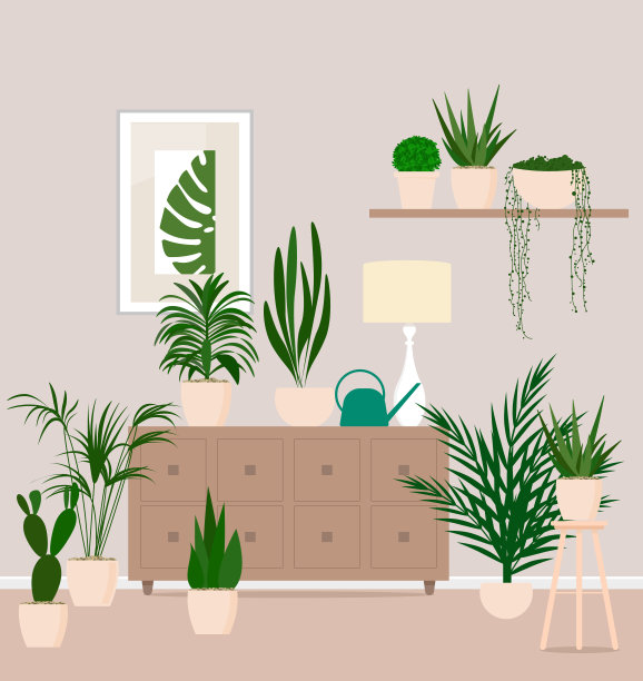 有室内植物的舒适房间图片下载