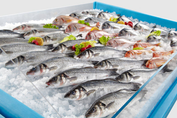 市场上展示的新鲜鱼图片下载