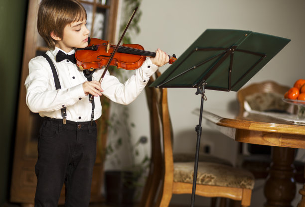 小提琴家。小男孩和小提琴。图片下载