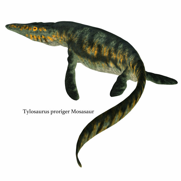 泰龙海洋爬行动物的尾巴图片下载