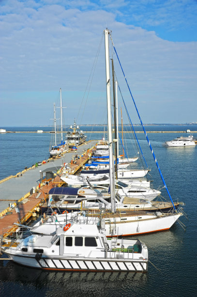 机动游艇在码头图片下载