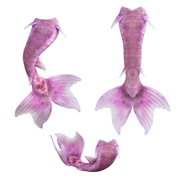 美人鱼的尾巴孤立在白色，3d渲染图片下载