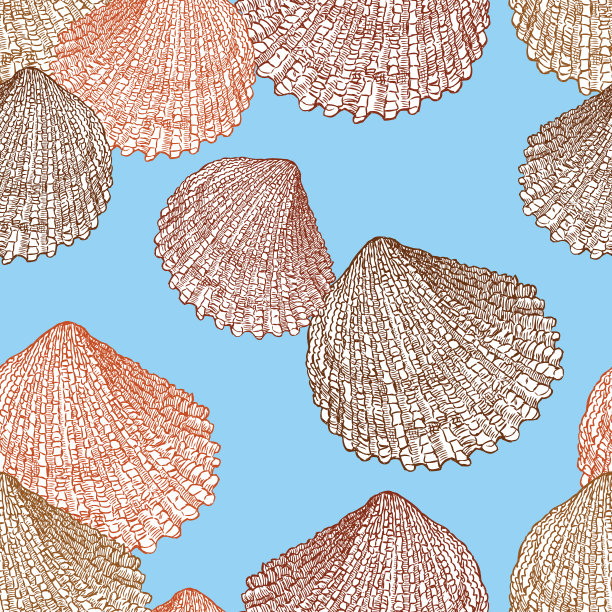 无缝的贝壳背景图片下载