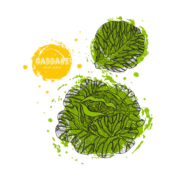 矢量垃圾在雕刻风格手绘插图。详细的素食图。农贸市场产品。为创建菜单，食谱，装饰厨房物品Grunge插图。图片下载