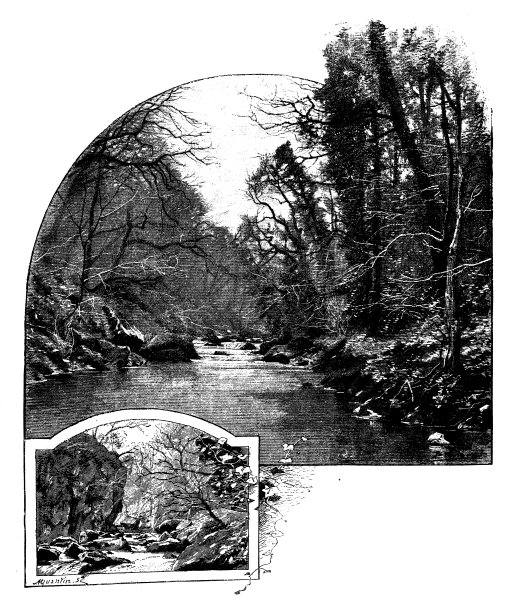 英格兰、苏格兰和爱尔兰古玩插图:达格尔山谷(威克洛)图片下载