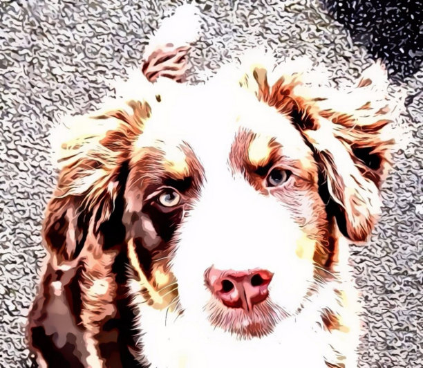 伯杰·奥斯特拉利安漫画图片下载