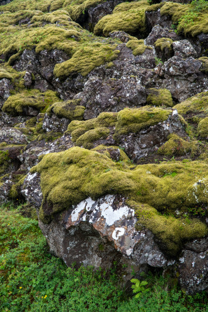 Þingvellir，欧洲和美国板块的交汇处。冰岛雷克雅未克附近的Thingvellir国家公园图片下载