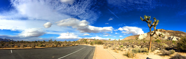 约书亚树国家公园全景，美国图片下载