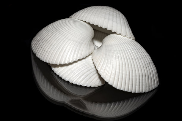 维埃·穆舍伦图片下载