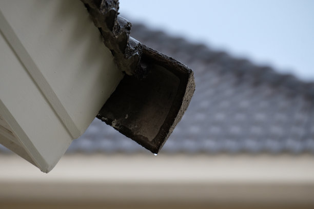 雨后雨水落在屋顶上图片下载