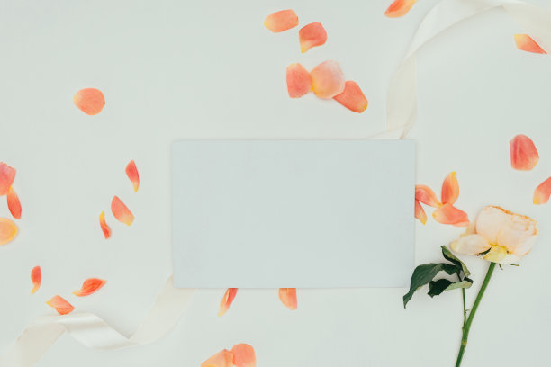 顶视图美丽温柔的花瓣与丝带，玫瑰花和空白卡片上的灰色素材图片
