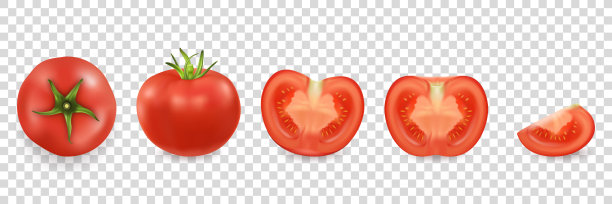 矢量3d现实不同的番茄图标设置特写隔离在透明网格背景。整个，四分之一，半个番茄，俯视图。设计模板，图形的剪贴画图片下载
