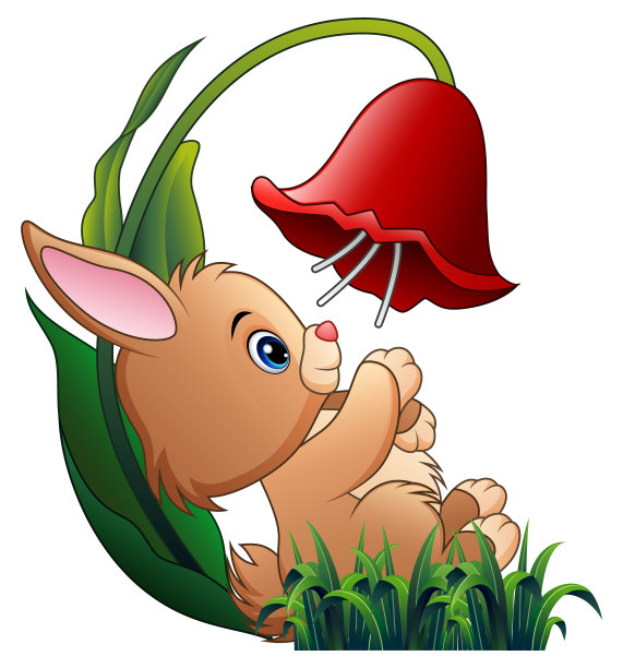 可爱的小兔子在白色的背景上玩花图片下载